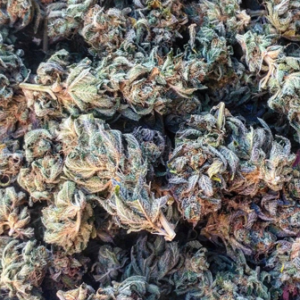 Skywalker