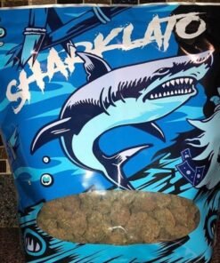 Sharklato Runtz