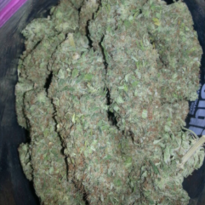 White Russian