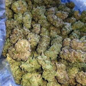 Gorilla Glue 4