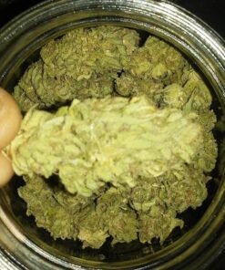 Mango cannabis Strain