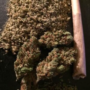 Buy Sensi Star